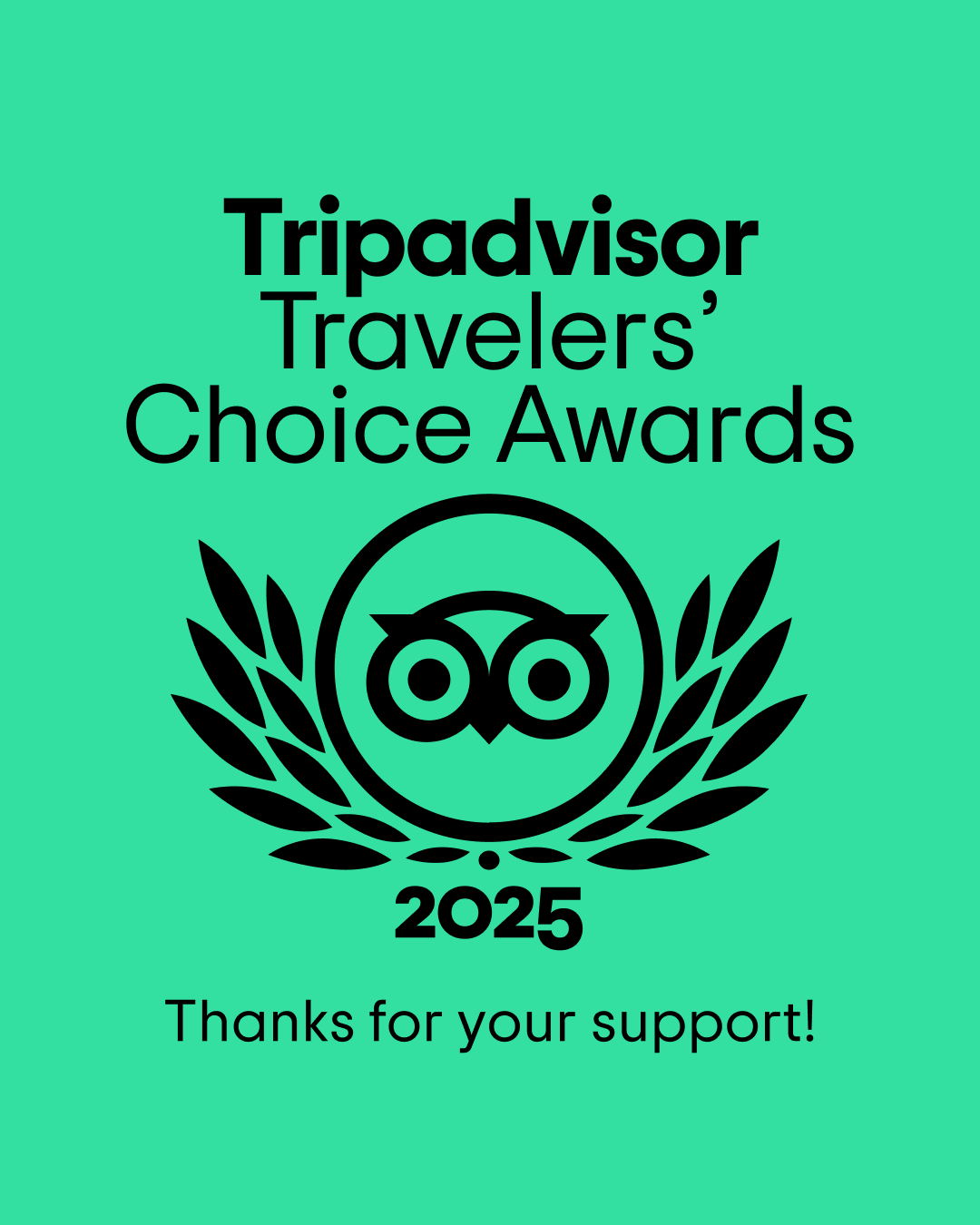 Tripadvisor Travellers' Choice Award 2025